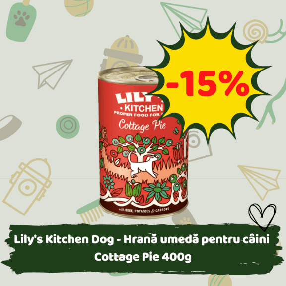 Hrană umedă Lily's Kitchen Dog cu discount
